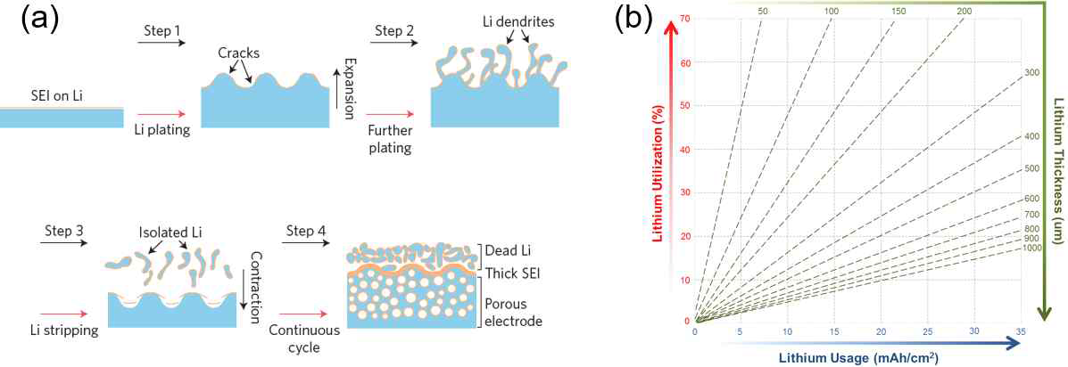 (a) 충방전이 거동되는 동안에 리튬 수지상이 성장되는 모습을 나타낸 모식도. (b) 리튬 두께에 따른 리튬 이용량과 이용률을 나타낸 그래프