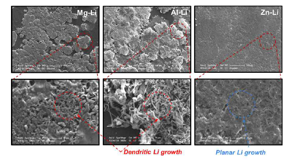 리튬 합금 계면 적용에 대한 리튬 전착 모형에 대한 SEM 사진. 왼쪽부터 마그네슘, 알루미늄, 아연을 적용한 경우