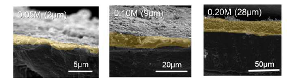 리튬-아연 합금에 대한 단면 SEM 사진. 왼쪽부터 0.05M, 0.10M, 0.20M 코팅 전해액에 대한 전극