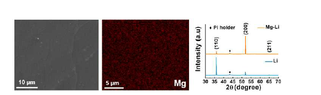 Mg-Li의 SEM, EDS 및 XRD 분석