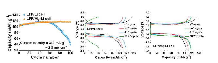 Li와 Mg-Li의 LFP 셀 특성 평가 (수명 특성, 전압 vs. 용량 특성)