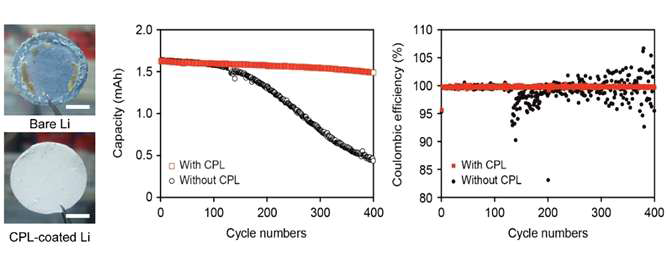 보호막 유무에 따른 사이클 구동 후 리튬 금속 음극의 사진(좌) 및 LiCoO2/Li cell 셀 사이클 수명 특성 및 쿨롱 효율 변화(우)