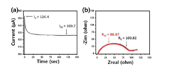 MX3GO1-PAA 보호막에 대한 (a) Polarization curve (b) Polarization 전과 후의 EIS 분석