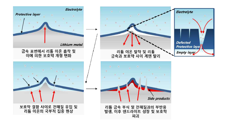 기존 보호막 리튬 금속 전극의 퇴화 모식도. 좌상부터 화살표 순서대로, 1) 충전 중 표면에서의 리튬 금속의 흡착 및 이에 의한 보호막 개형 변화, 2) 이후 방전 시 리튬의 탈착 및 리튬 금속과 보호막 사이 계면 탈리, 3) 탈리된 계면 사이로 전해질 유입, 4) 이후 리튬 금속의 부식 및 전해질과의 부반응 발생, 이후 덴드라이트 성장 및 보호막 파괴