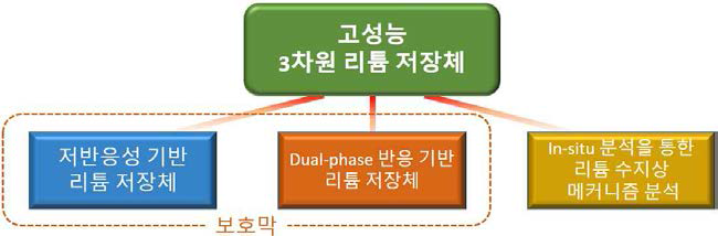 고성능 3차원 리튬 저장체를 개발하기 위한 전략도