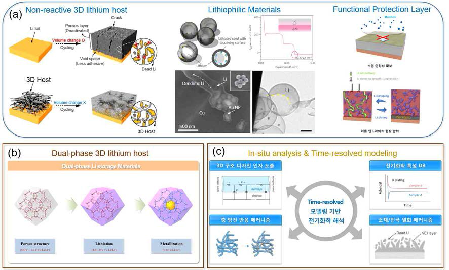 (a) 3차원 저반응성 구조체/리튬친화성 물질/기능성 보호막을 나타내는 이미지. (b) Dual-phase 3차원 반응성 구조체와 (c) 리튬금속전지를 위한 분석 및 해석기법