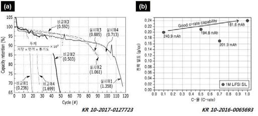 (a) 분리막에 인자에 따른 성능 특성 및 (b) solvated ionic liquid 도입에 의한 리튬전착특성