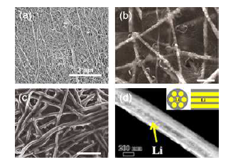 1차원 구조체를 이용한 연구들. (a) CNT 필름, (b) PI+Li 복합체, (c) C+Li 복합체, (d) 다공성 1차원 카본