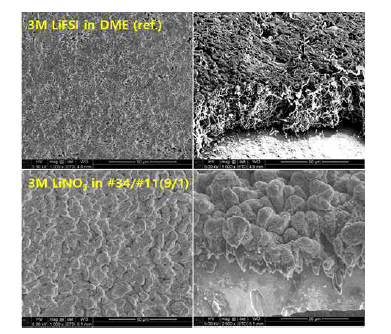 1차년도와 2차년도 개발 Li 형상 관찰 결과