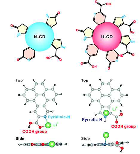 기능기에 따른 카본 나노닷 첨가제의 구조 모식도 (왼쪽: N-CD, 오른쪽: U-CD)