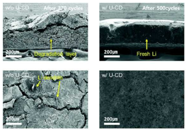 U-CD 카본 나노닷 첨가제 유무에 따른 사이클 이후 리튬 형상 비교 SEM 이미지 (오른쪽이 첨가제 존재)