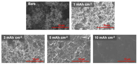 리튬 전착량에 따른 구조체의 SEM 이미지