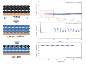 ZIF-67 리튬저장체 수명평가 (SOC : 10%)