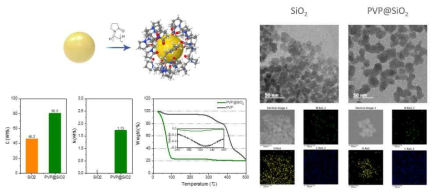 PVP@SiO2 나노입자 미세구조 분석