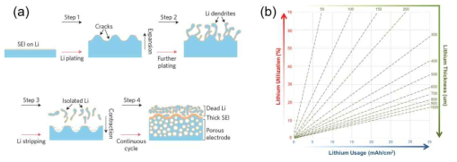 (a) 충방전이 거동되는 동안에 리튬 수지상이 성장되는 모습을 나타낸 모식도. (b) 리튬 두께에 따른 리튬 이용량과 이용률을 나타낸 그래프