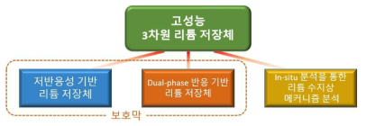 고성능 3차원 리튬 저장체를 개발하기 위한 전략도