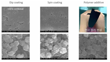 코팅공정 최적화 미세구조 분석