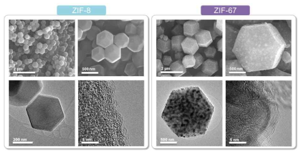 합성된 ZIF-8, ZIF-67