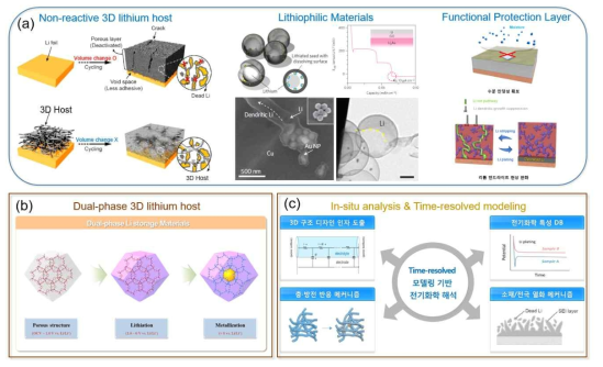(a) 3차원 저반응성 구조체/리튬친화성 물질/기능성 보호막을 나타내는 이미지. (b) Dual-phase 3차원 반응성 구조체와 (c) 리튬금속전지를 위한 분석 및 해석기법