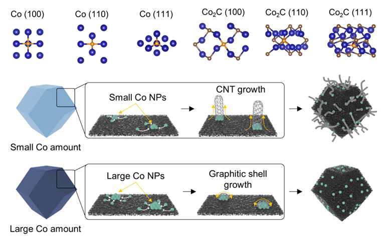 Co, Co2C 결정면과 응집된 Co양에 따른 탄소구조체 성장