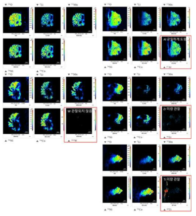 양극활물질(NCM)에 대한 Nano-SIMS 이미징 분석 결과
