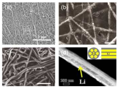 1차원 구조체를 이용한 연구들. (a) CNT 필름, (b) PI+Li 복합체, (c) C+Li 복합체, (d) 다공성 1차원 카본