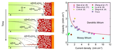 리튬 수지상 형성 메커니즘: Energy Environ. Sci., 2016, 9, 3221