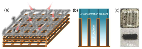(a) 전도성 3차원 구조체의 Li top-plating 현상과 (b) 이온이 밀집되는 모습을 나타낸 모식도 및 (c) 3D 프린팅된 샘플의 Li top plating 현상을 보여주는 디지털 이미지