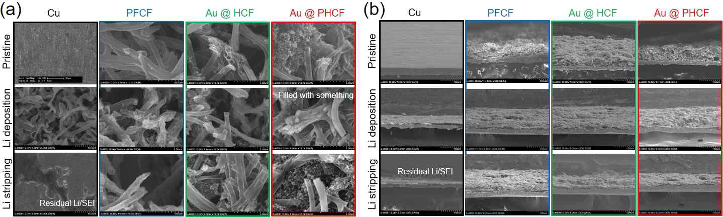 전류 밀도 0.5 mA/cm2와 용량 1 mAh/cm2에 따른 Cu, PHCF, Au@HCF 및 Au@PHCF 전극에 해당되는 (a) 표면, (b) 단면 SEM 이미지