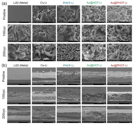 리튬 LFP 풀셀 테스트 사이클별 (a) 표면, (b) 단면 SEM