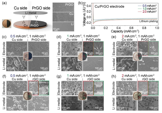 (a) Cu/PrGO 반쪽전지의 모습을 나타낸 이미지, (b) 전류밀도 변화에 따른 반쪽전지에 대한 전압프로파일, (c-e) 0.5/1/2 mAh/cm2 전류밀도 변화에 따른 Cu, PrGO쪽과 해당하는 부분의 Li쪽의 SEM 이미지, (f-h) 0.5/1/2 mAh/cm2 전류밀도 변화에 따른 Cu, rGO쪽과 해당하는 부분의 Li쪽의 SEM 이미지