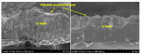 Li deposition이후 코팅층 단면 형상 (SEM)