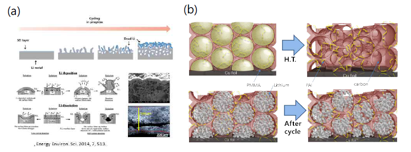 (a) 2차원 리튬금속에서의 리튬 성장 거동, (b) 탄소 기반 3차원 구조체 설계