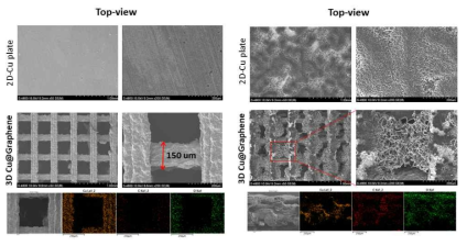 Cu 도금된 3차원 구조체 내 리튬의 표면 거동 (SEM)
