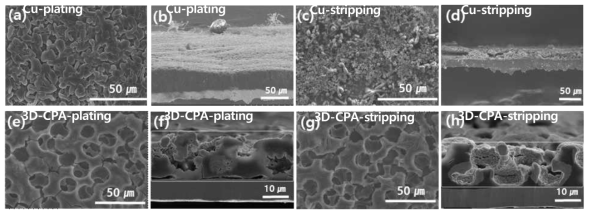 Cu anode의 (a, b) plating 후 (c, d) stripping 후의 이미지, 3D-CPA의 (e, f) plating 후 (g, h) stripping 후의 이미지 (2 mAh/cm2 at 0.1 mA/cm2)