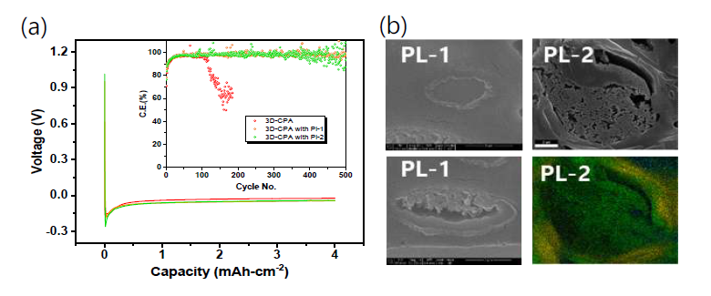 (a) 보호막이 적용된 3D-CPA의 초기 voltage profiles and cycle life, (b) 초기 plating 후의 단면 SEM 이미지