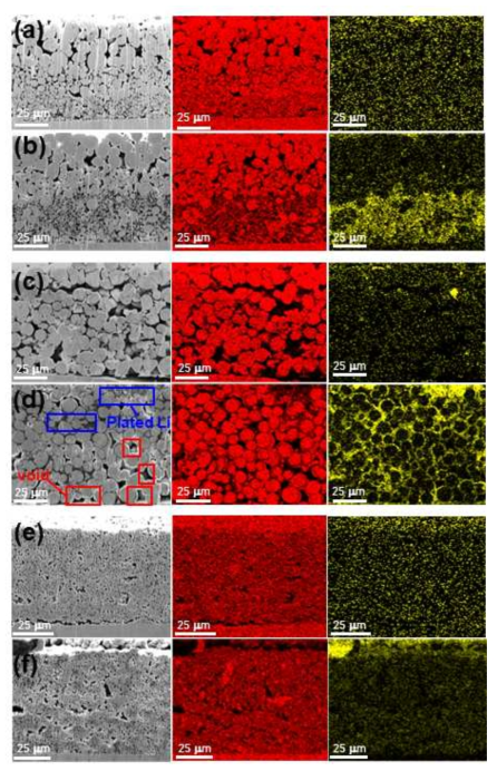 구조체별 단면 SEM 및 Cu, O EDS 분석 이미지. (a-b) PGF의 리튬 전착 (a) 전, (b) 후 이미지. (c-d) SPF-L의 리튬 전착 (c) 전, (d) 후 이미지. (e-f) SPF-S의 리튬 전착 (e) 전, (f) 후 이미지