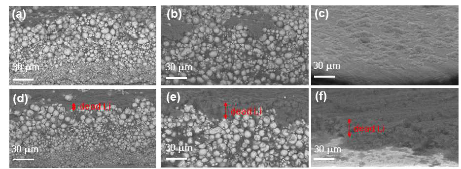 싸이클에 따른 (a, d) PGF, (b, e) SPF-L, (c, f) Cu foil 의 리튬 탈리 후 단면 형상 (a-c) 1 싸이클, (d-f) 20 싸이클