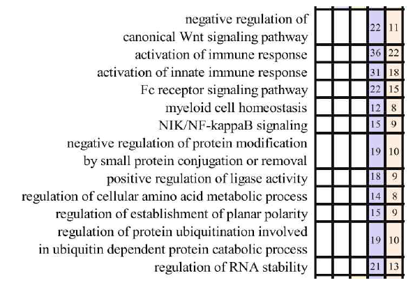 ANM1과 ANM2로부터 추출된 차별발현유전자+CFG 유전자의 생물학적 기능