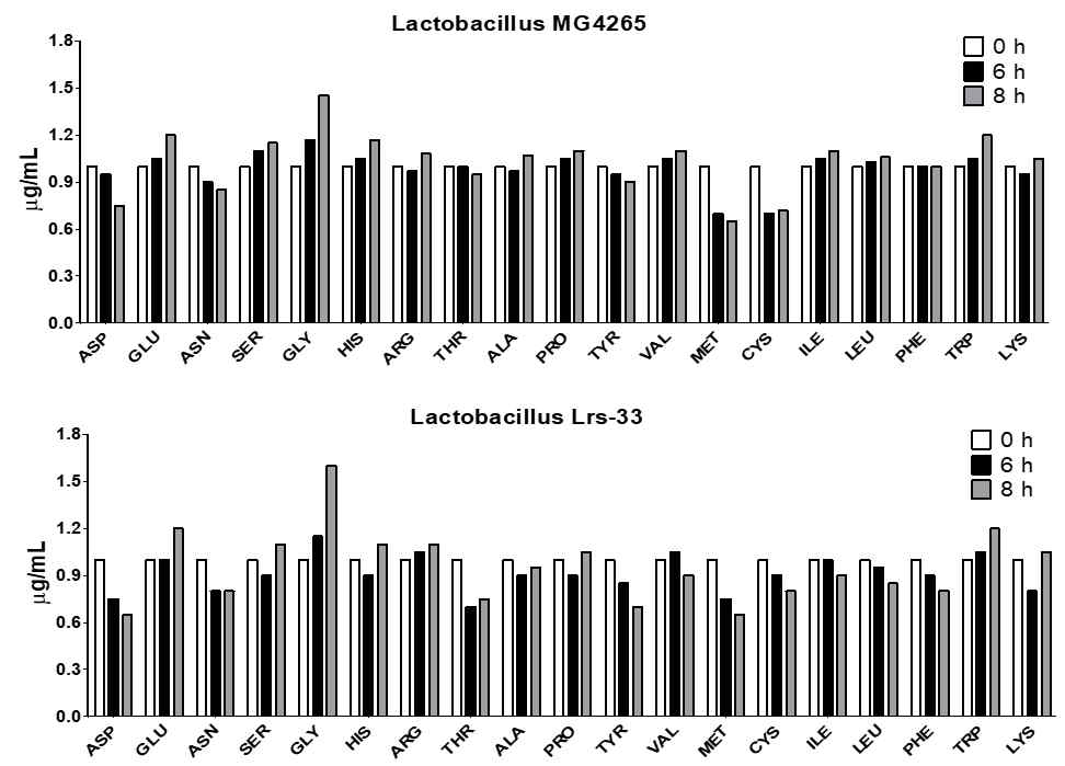 Lactobacillus 유효/비유효 균주 배양액의 아미노산 조성 변화