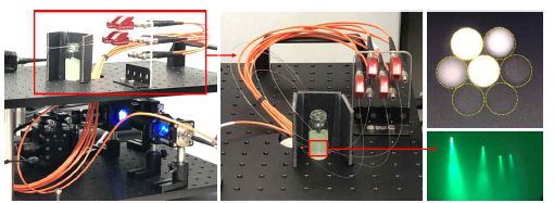 multi-site fiberphotometry 장비