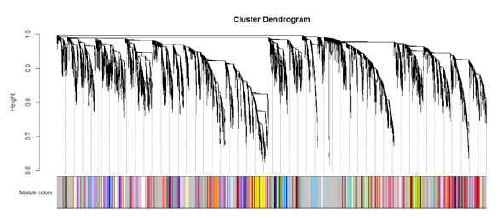 WGCNA 분석을 통한 유전자들 간의 계층적 군집화