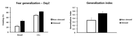 Physical restraint와 tail shock을 가한 생쥐에서 24시간 후 나타나는 공포일반화 반응