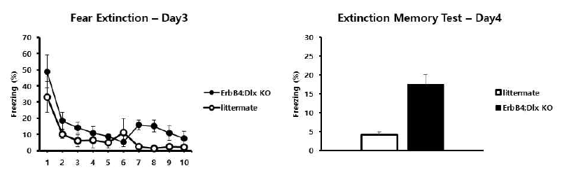 공포소멸 학습 실험조건하에서 ErbB4 KO 생쥐모델과 대조군의 비교