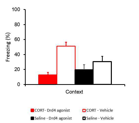 Coricosterone 복강주사로 발생하는 공포 일반화 현상은 도파민 수용체4 (Drd4) 길항제 (agonist)를 편도체 측핵에 투여하는 것으로 rescue하기에 충분함