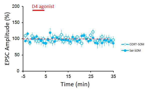 편도체 측핵의 추체신경 세포 (Pyramidal neuron) 편도체측핵 내 SOM (+) 개재신경세포로의 흥분성 신호세기는 도파민 수용체4 길항제 (D4 agonist)에 의해 CORT 복강주사군에서 변화하지 않음