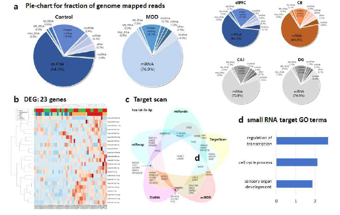 small RNA 분석 결과 개요