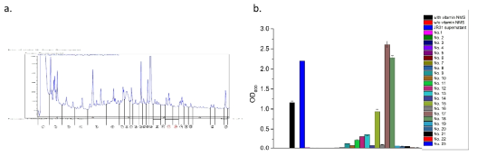 Methylosinus JR31 균주 배양액의 HPLC 분석 (a)과 비타민 요구 Methylomonas JR29 균주의 생장에 미치는 HPLC fractions들의 영향 (b)