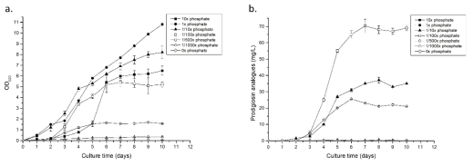 배지 내 phosphate 농도에 따른 세포 생장 (a) 과 prodigiosin analogues 생산 (b)