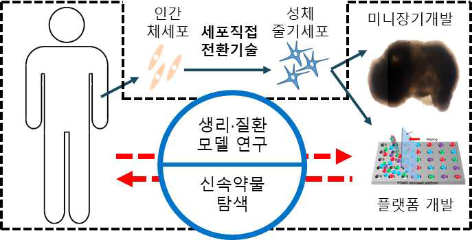 본 연구의 개요도